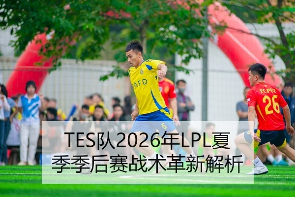 TES队2026年LPL夏季季后赛战术革新解析