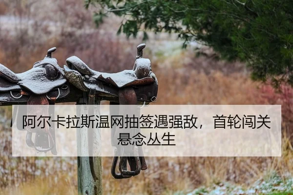 a-er-ka-la-si-wen-wang-chou-qian-yu-qiang-di-shou-lun-chuang-guan-xuan-nian-cong-sheng-2-100.jpg